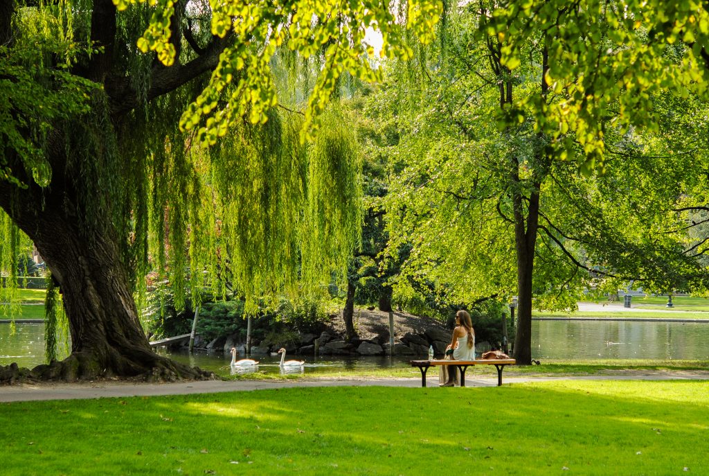 Votre lieu de vie : Quartier Bordeaux Caudéran (33), parcs et espaces verts.